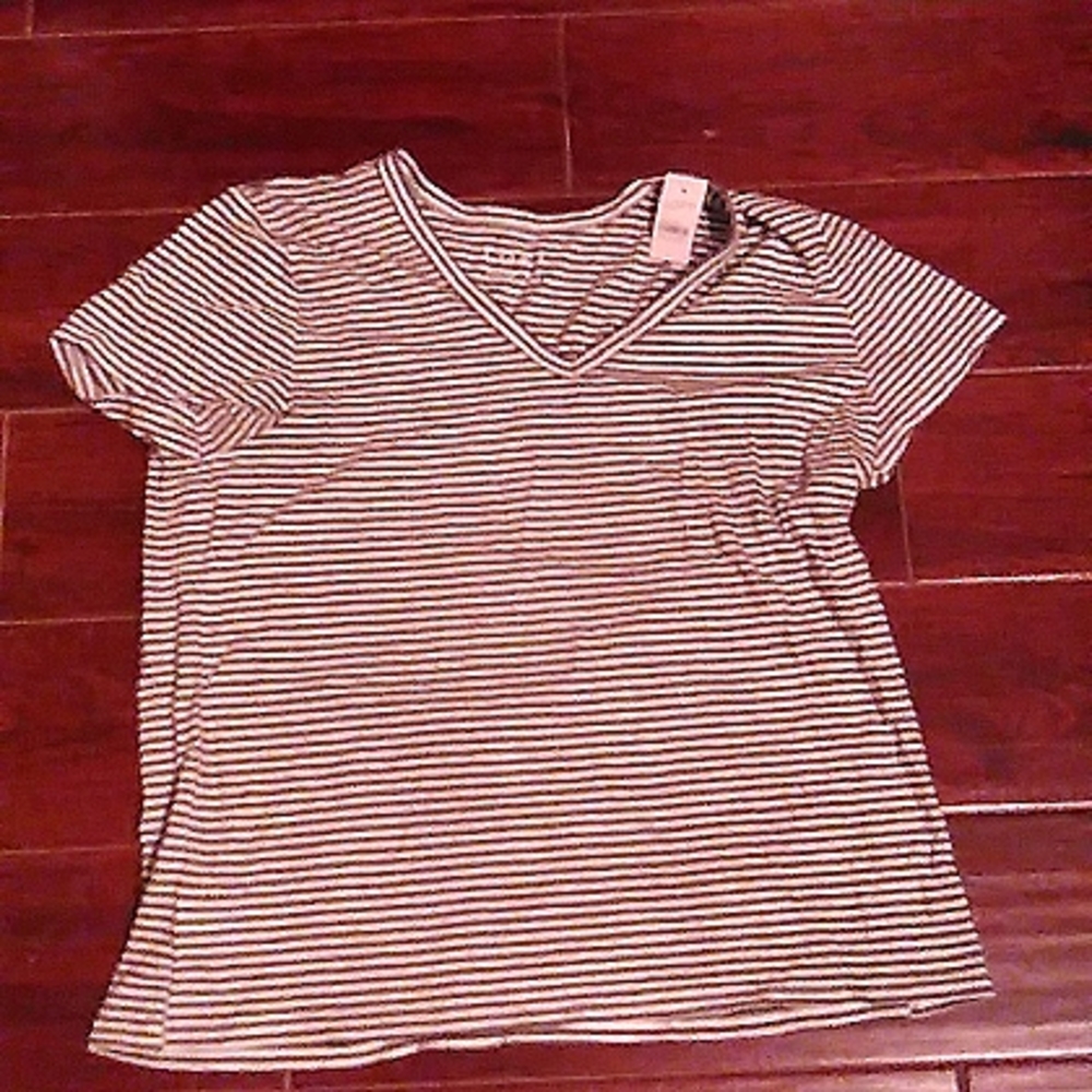 Brand New loft blouse